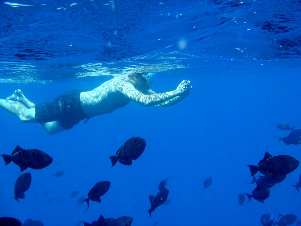 duncan rawlinson swimming with fish