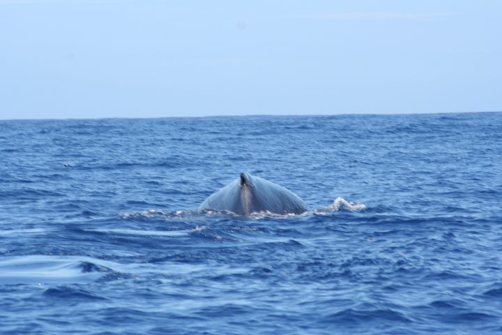 Untitled Photo 1575