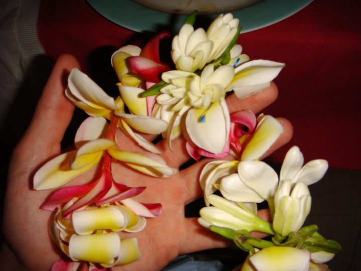 Untitled Photo 49
