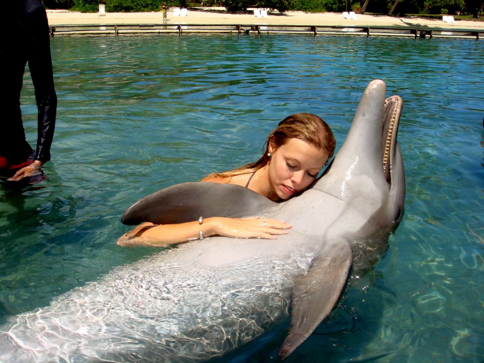 Model with dolphin
