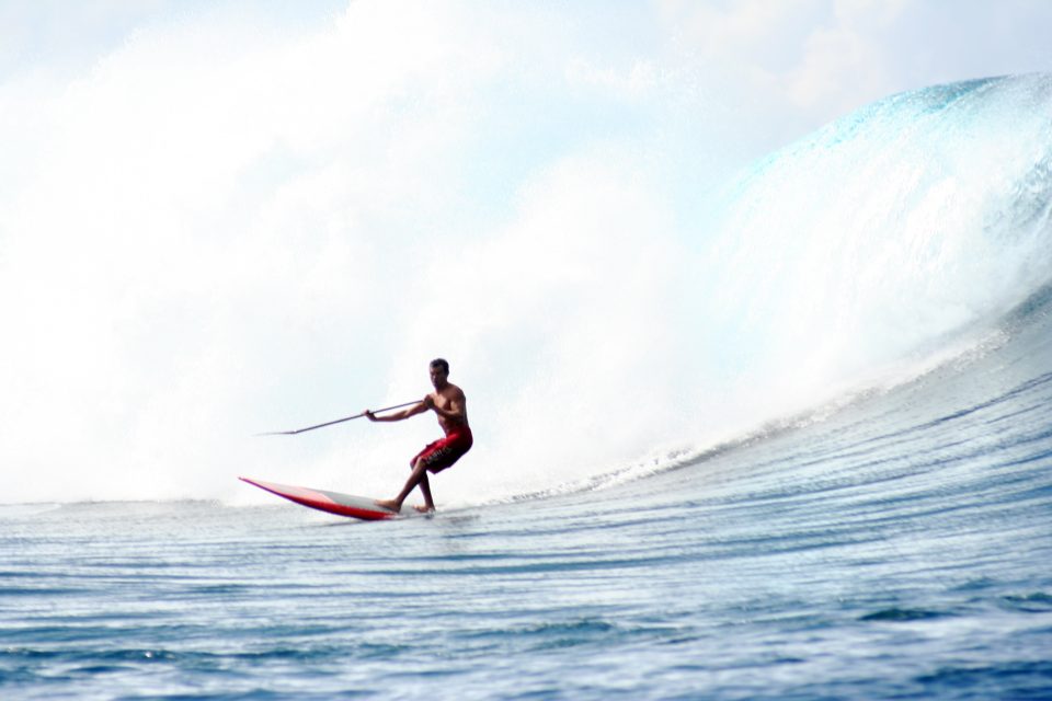 Paddle Surfer