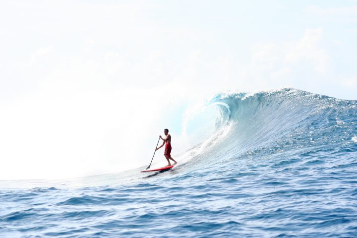 Paddle Surfing