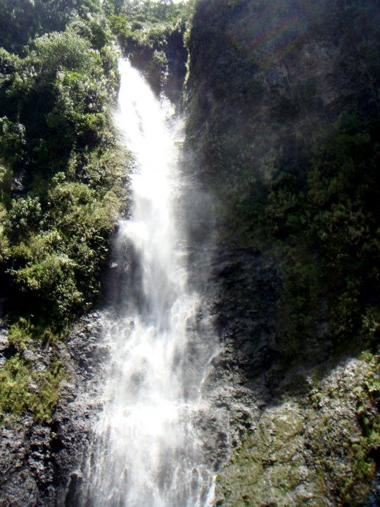 Untitled Photo 225