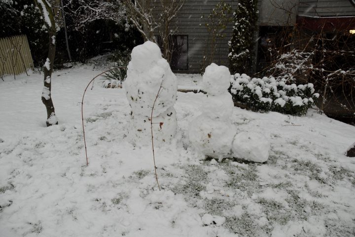 Snow Day In Vancouver
