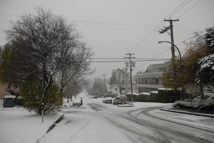 Snow Day In Vancouver
