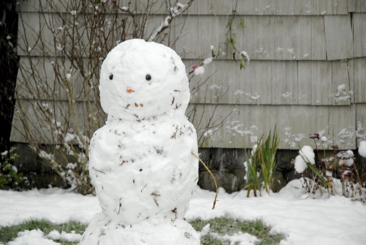 Snow Day In Vancouver