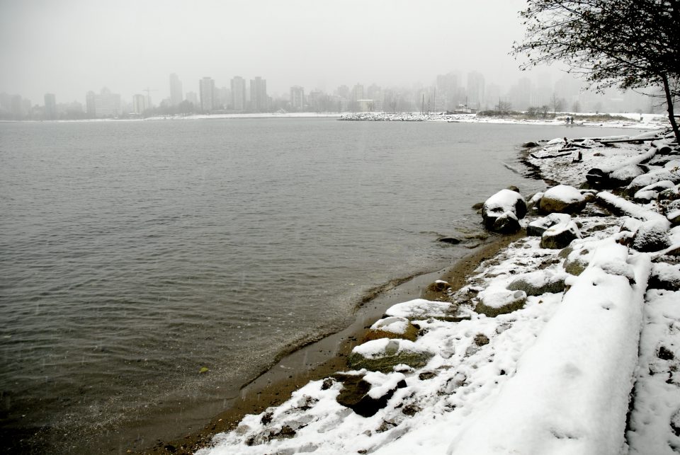 Snow Day In Vancouver