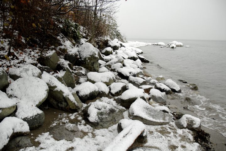 Snow Day In Vancouver