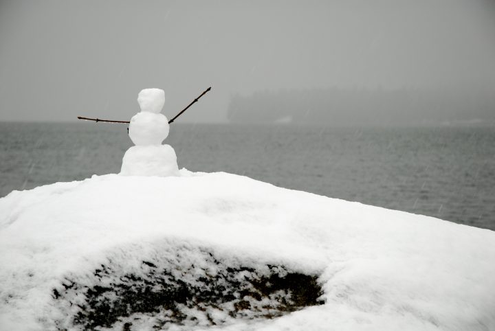 Snow Day In Vancouver