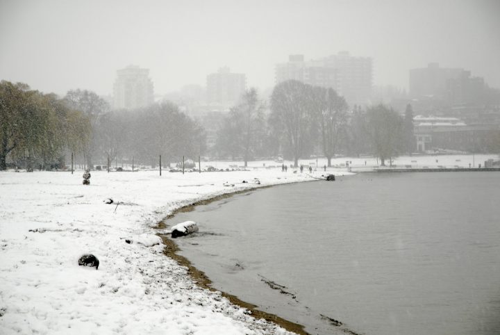 Snow Day In Vancouver