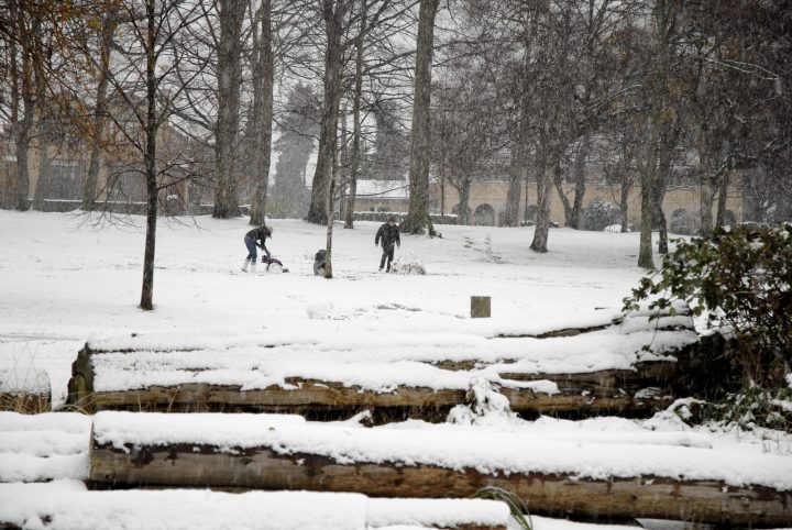 Snow Day In Vancouver