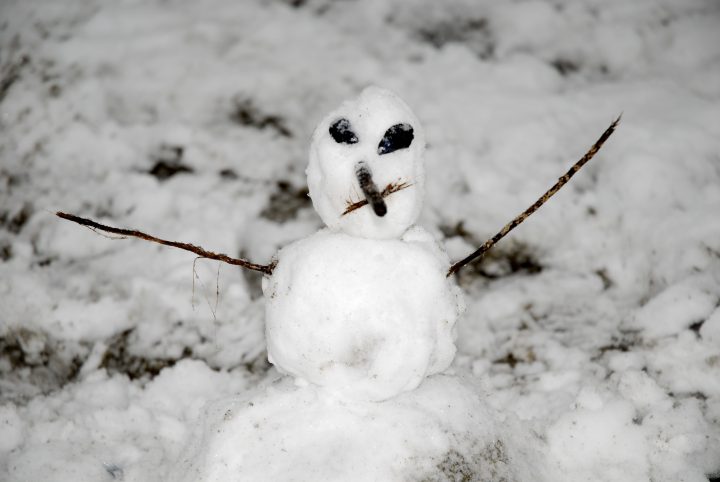 Snow Day In Vancouver