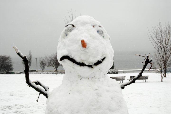Snow Day In Vancouver