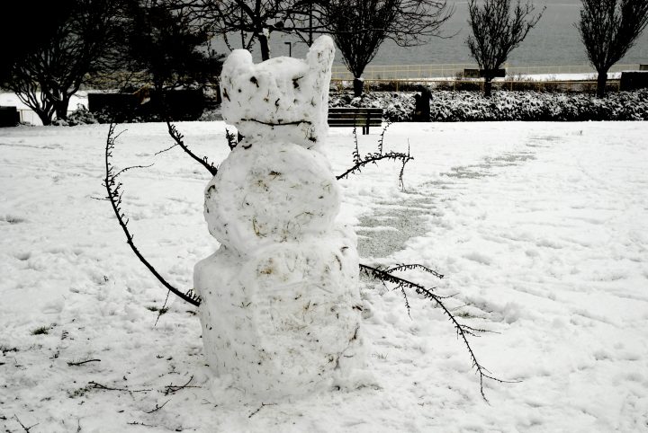 Snow Day In Vancouver