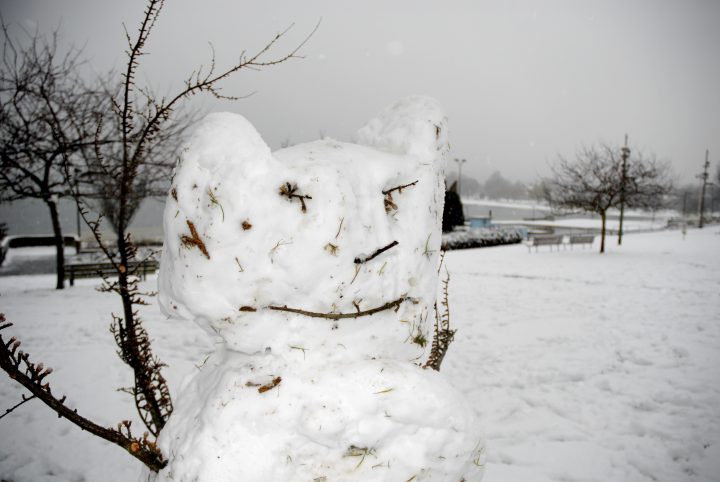 Snow Day In Vancouver