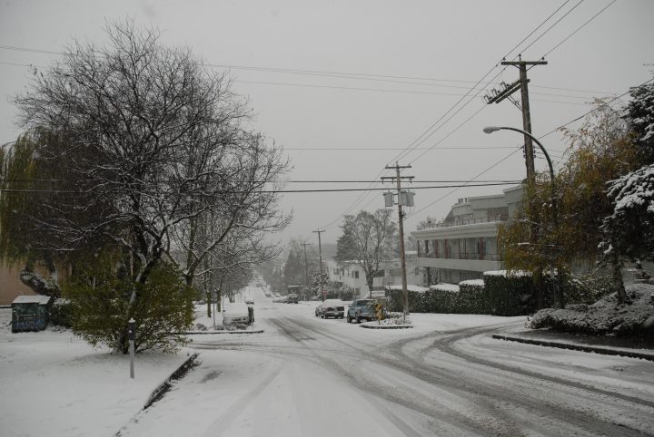 Snow Day In Vancouver