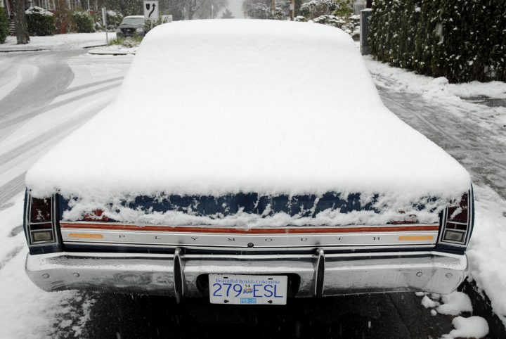 Snow Day In Vancouver