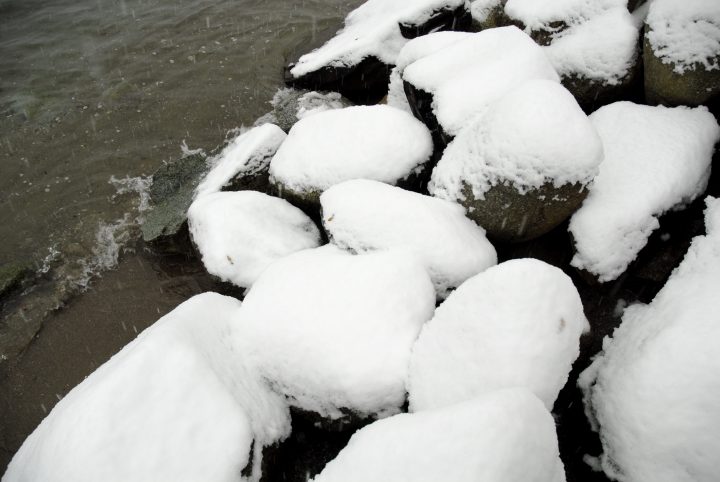 Snow Day In Vancouver