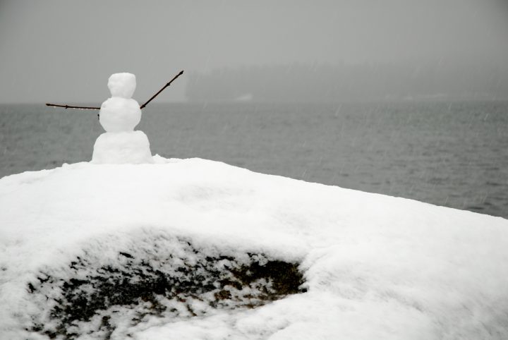 Snow Day In Vancouver