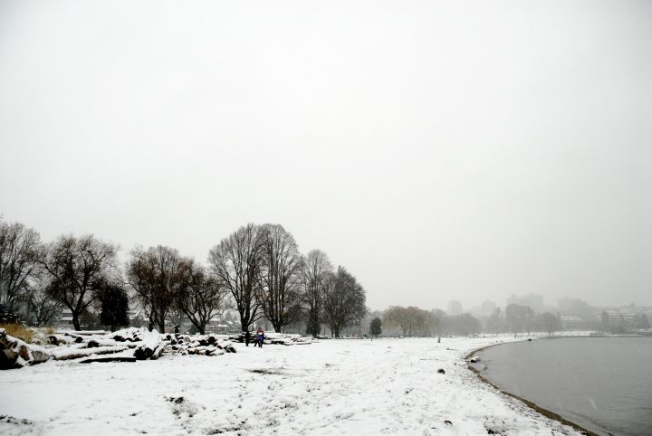 Snow Day In Vancouver