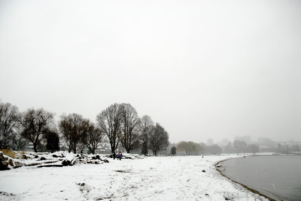 Snow Day In Vancouver