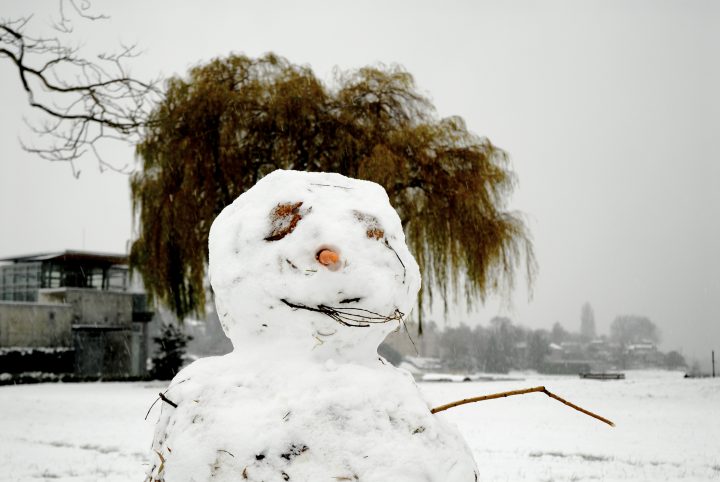 Snow Day In Vancouver
