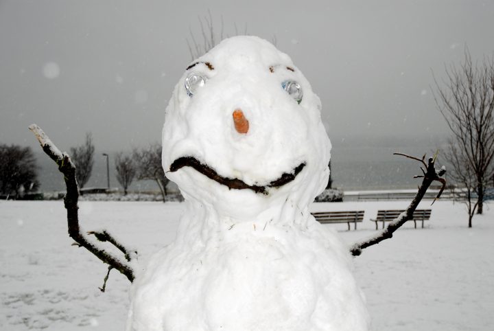 Snow Day In Vancouver