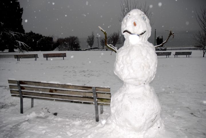 Snow Day In Vancouver