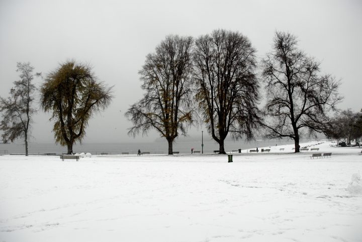 Snow Day In Vancouver