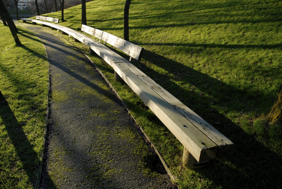 curvy wooden bench and grass