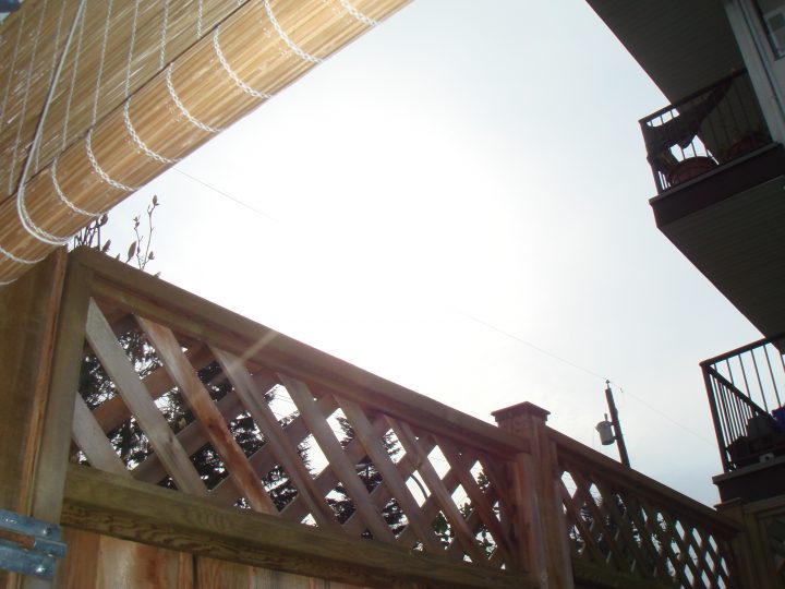 DSC06258