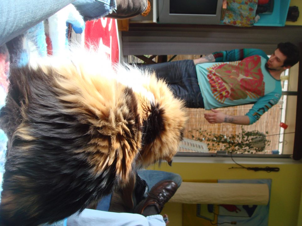 DSC06600