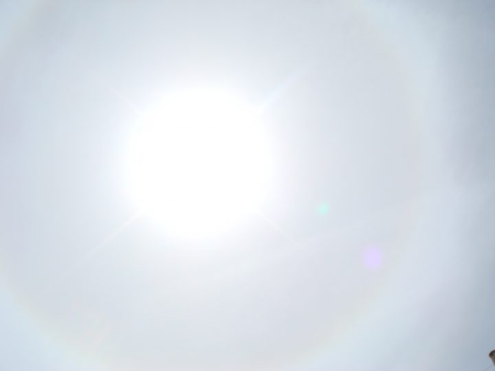 DSC08374