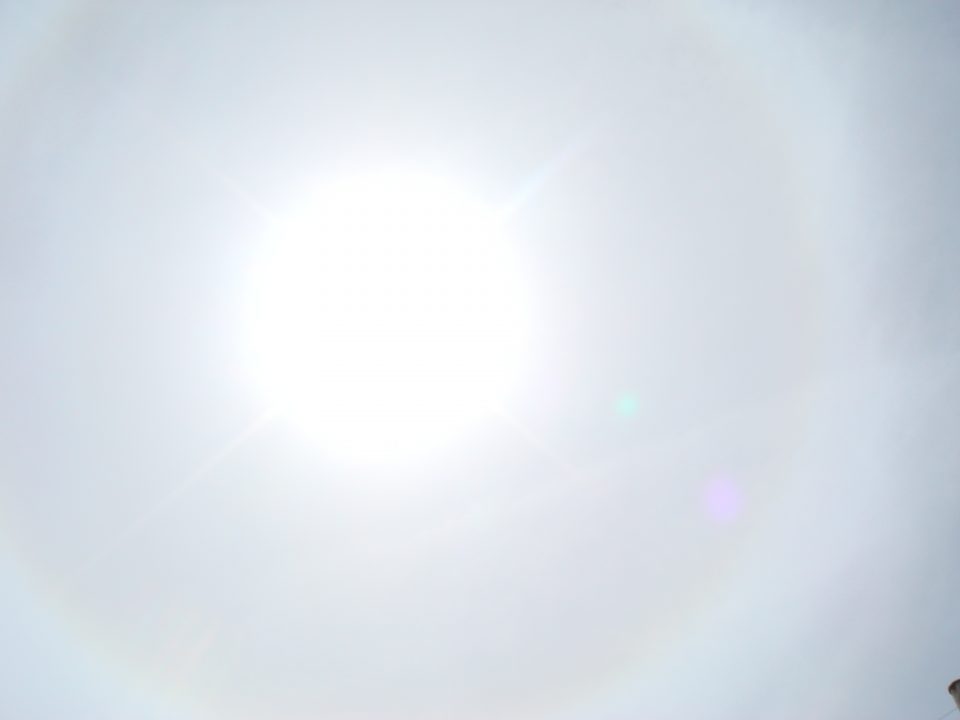 DSC08374
