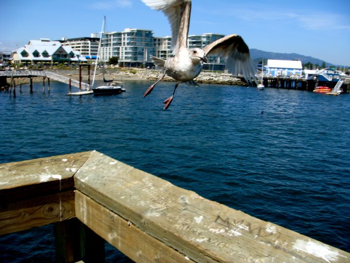 Untitled Photo 17