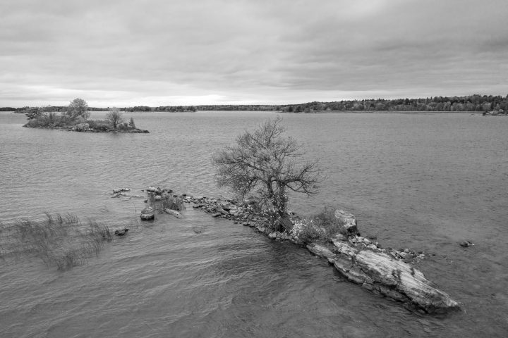 Small Island With One Tree 05