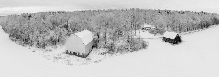 Snow Covered Barns and Forest