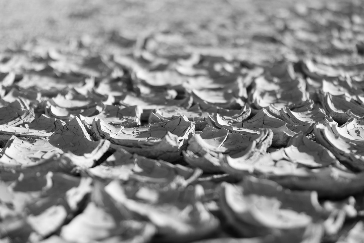 Playa Surface