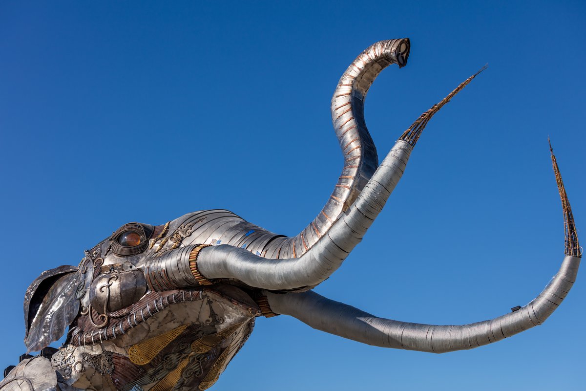 The Monumental Mammoth