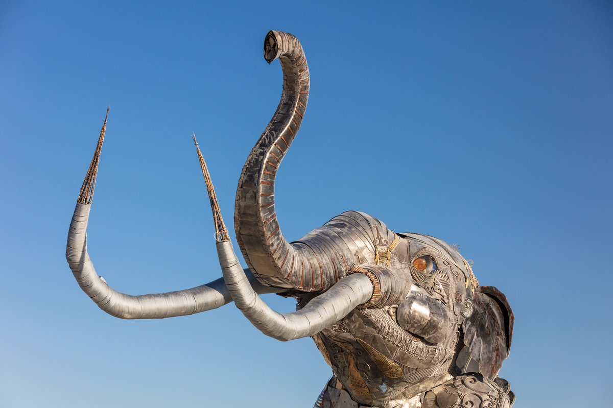 The Monumental Mammoth