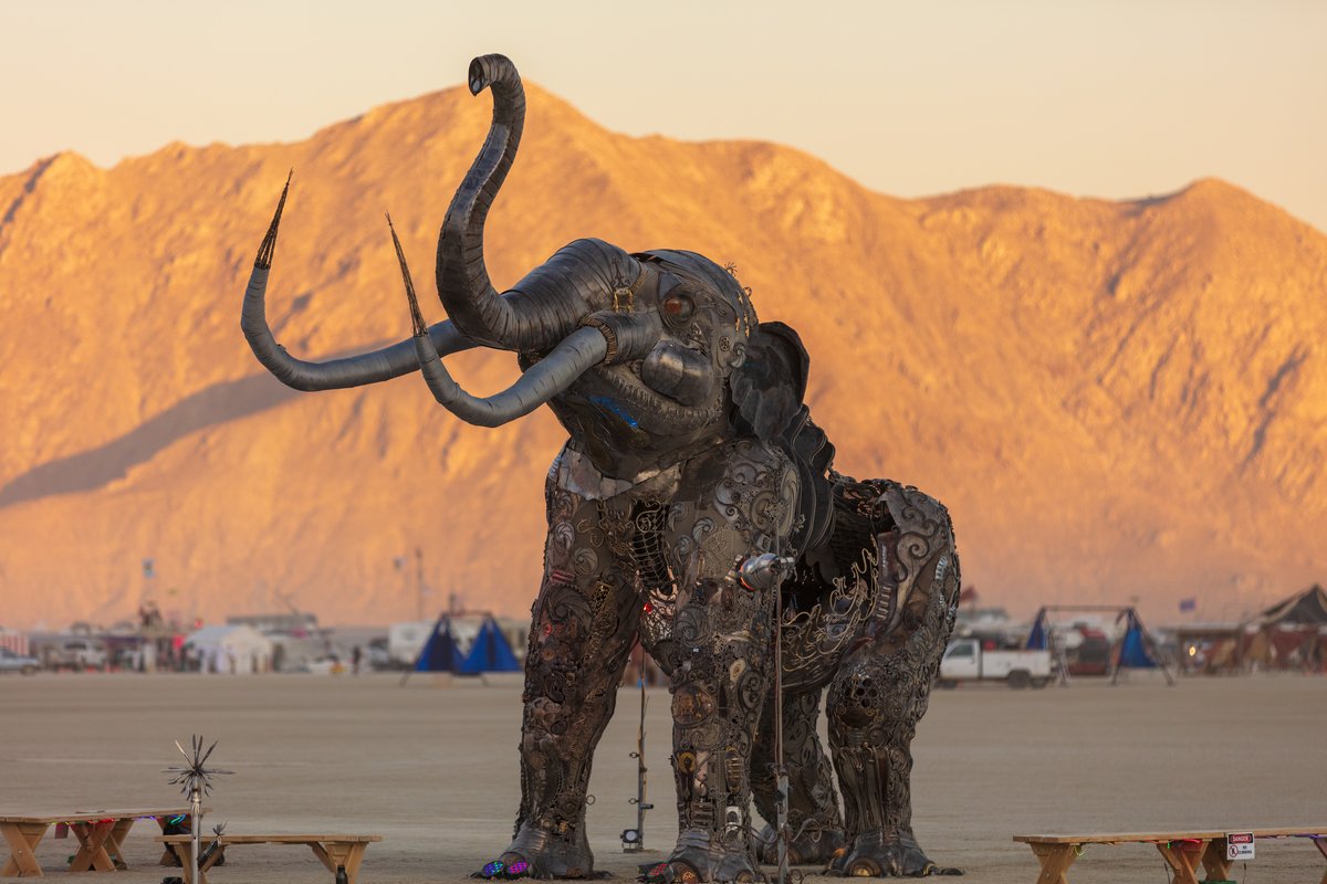 The Monumental Mammoth