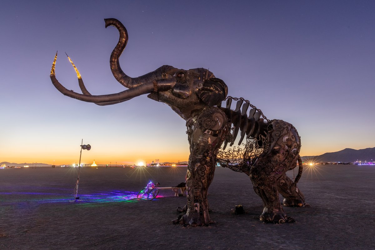 The Monumental Mammoth at Dawn