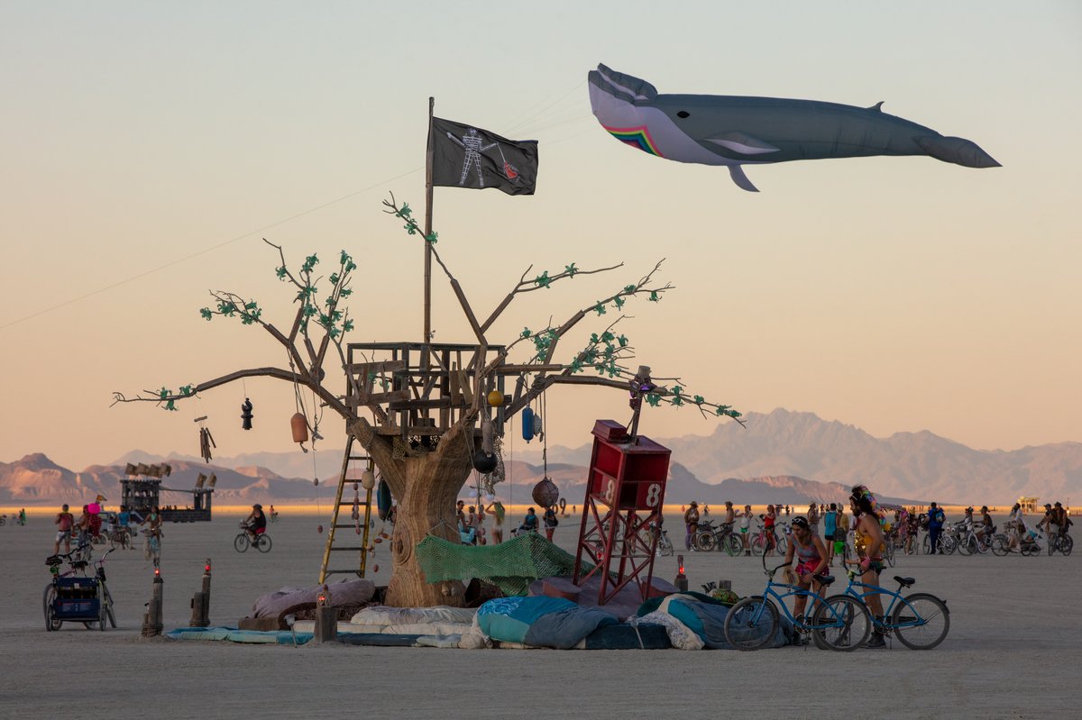Island of Lost Buoys and Skywhale: The Not ShyWhale