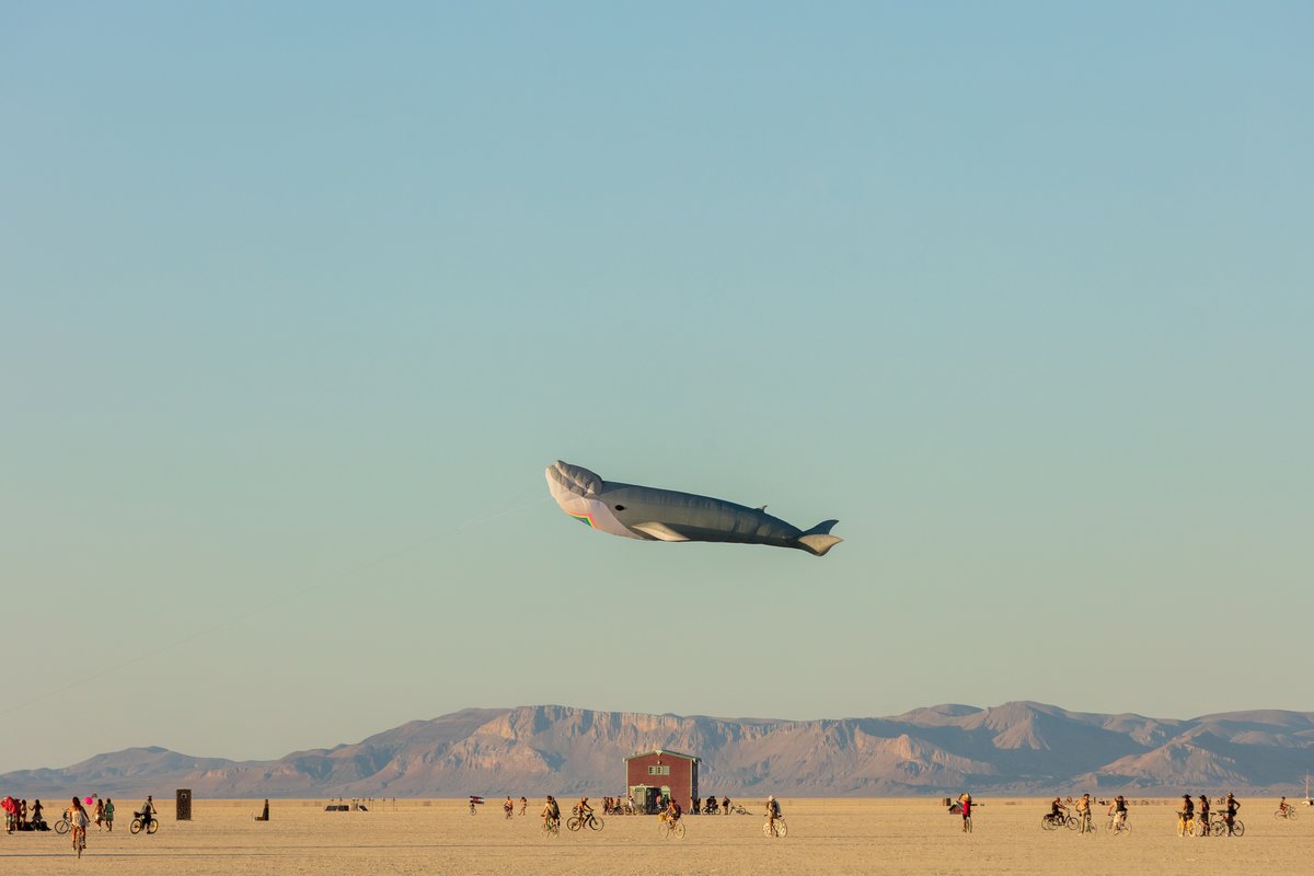 Skywhale: The Not ShyWhale and The Dollhouse