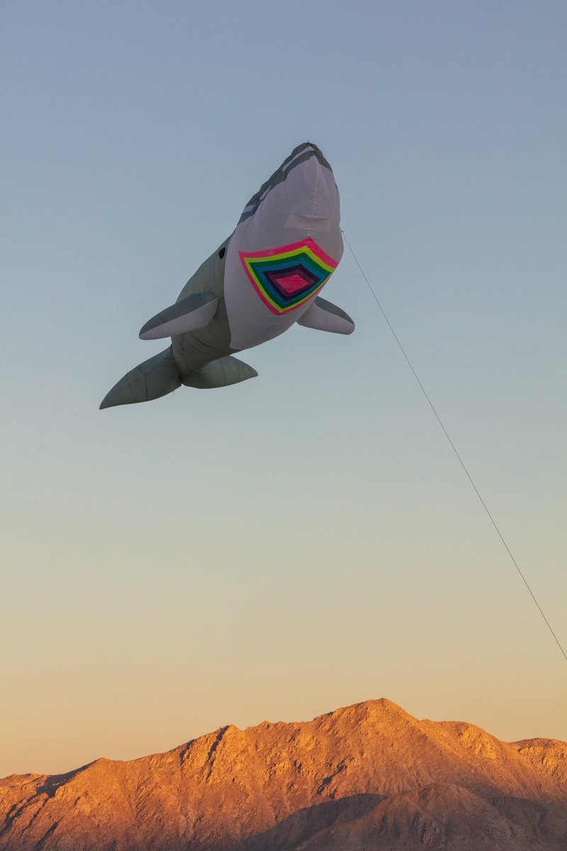 Skywhale: The Not ShyWhale
