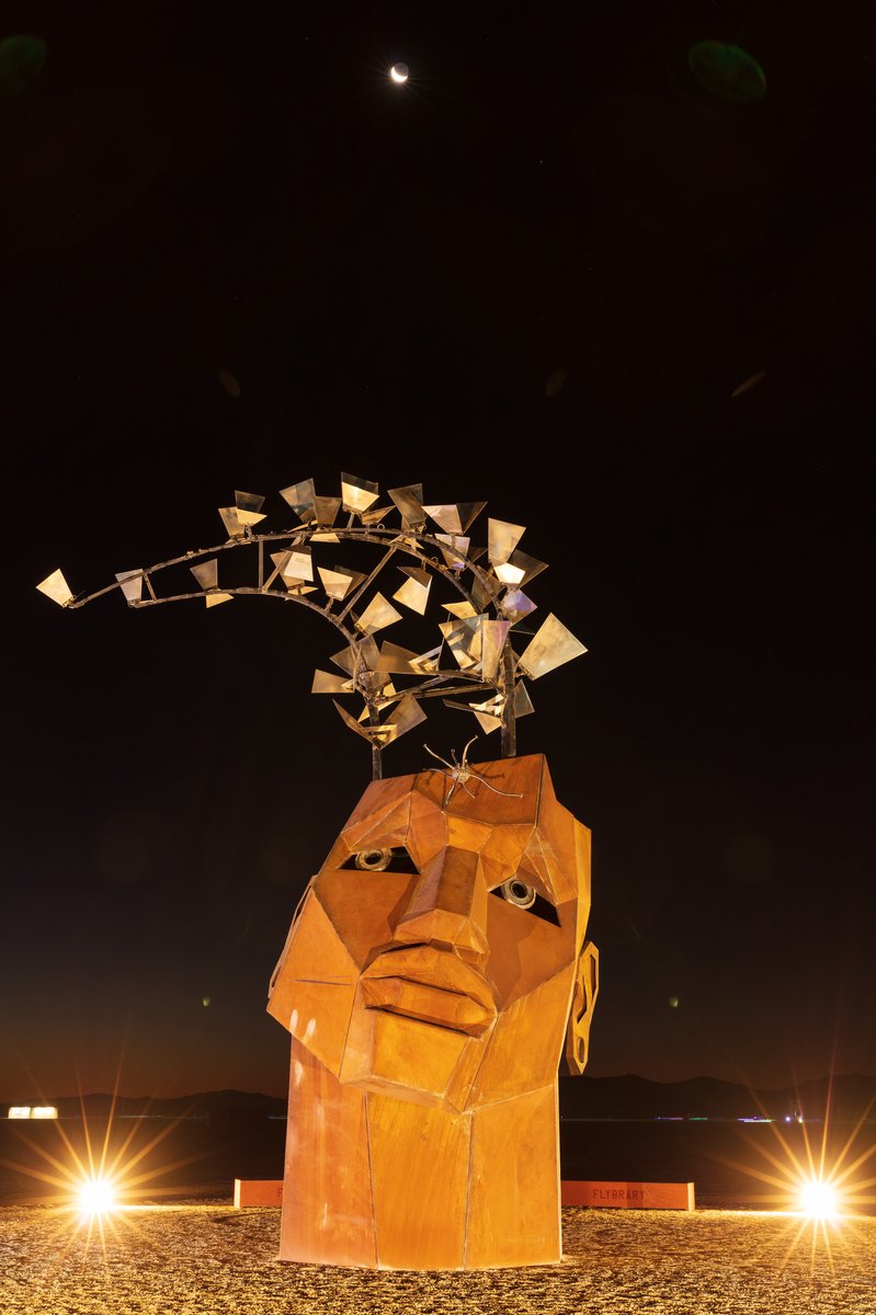 The Flybrary at Night Under the Moon