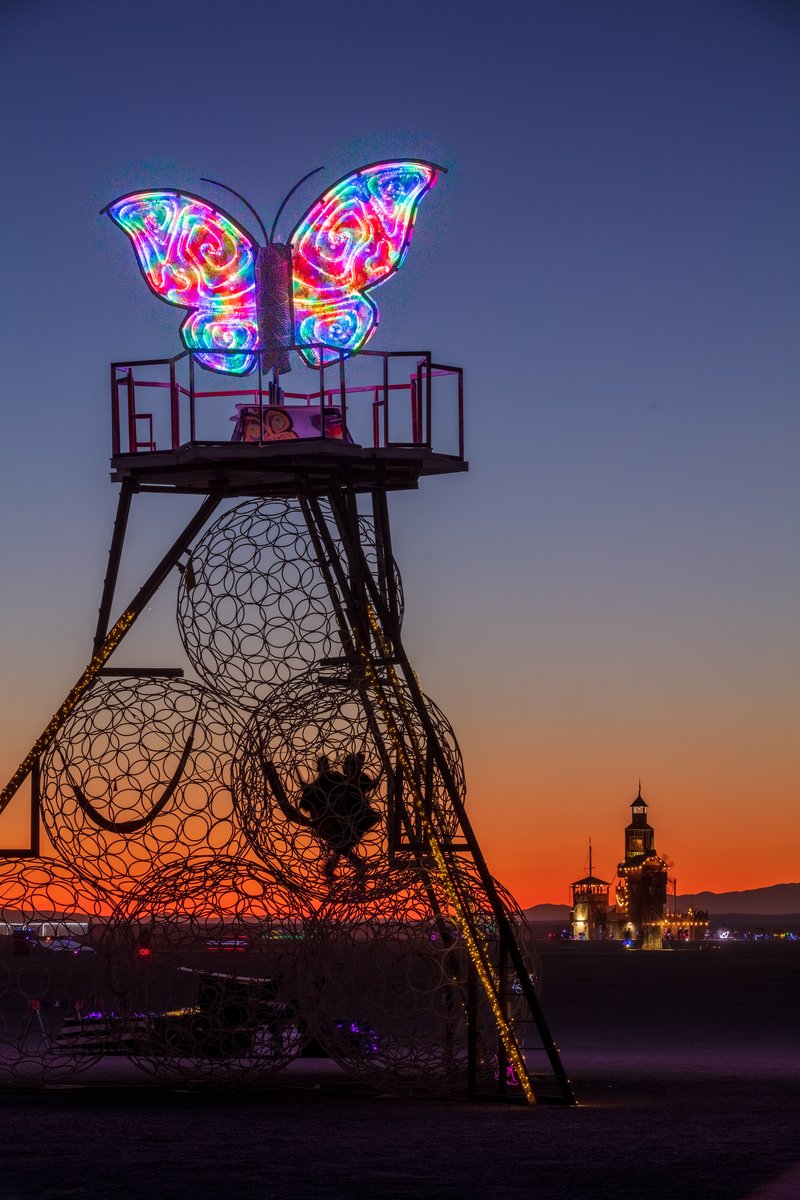 The Phoenix and The Butterfly: A story of metamorphosis