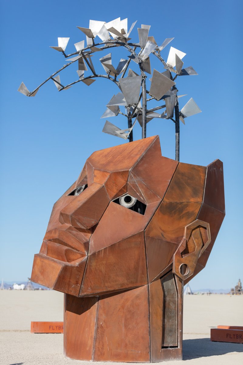 The Flybrary