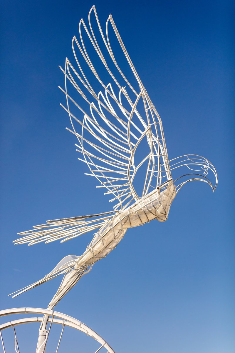 Taking Flight