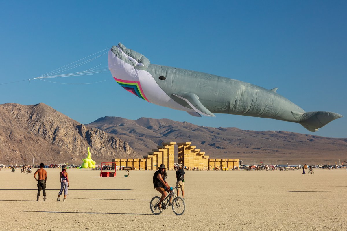 Skywhale: The Not ShyWhale and The Temple